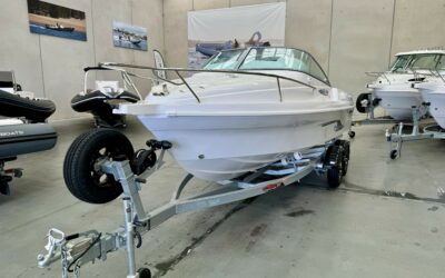 Haines Hunter Sport Fish 580