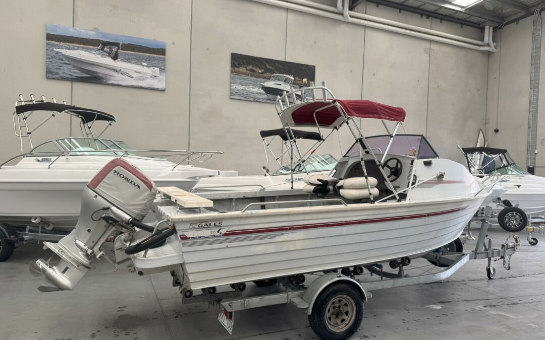 Ally Craft 5.35 Palm Beach